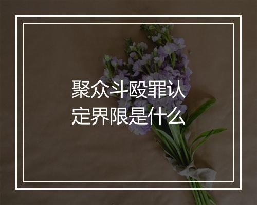 聚众斗殴罪认定界限是什么