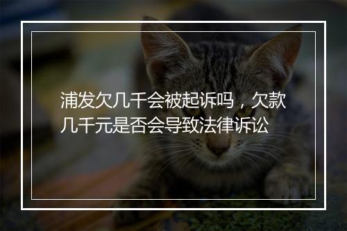 浦发欠几千会被起诉吗，欠款几千元是否会导致法律诉讼