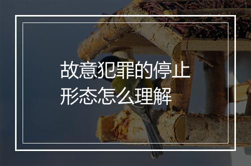 故意犯罪的停止形态怎么理解