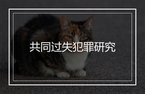 共同过失犯罪研究