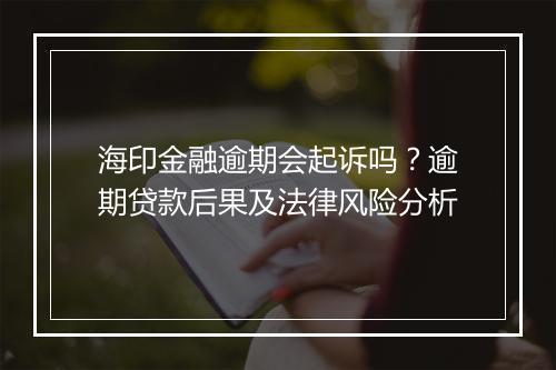 海印金融逾期会起诉吗？逾期贷款后果及法律风险分析