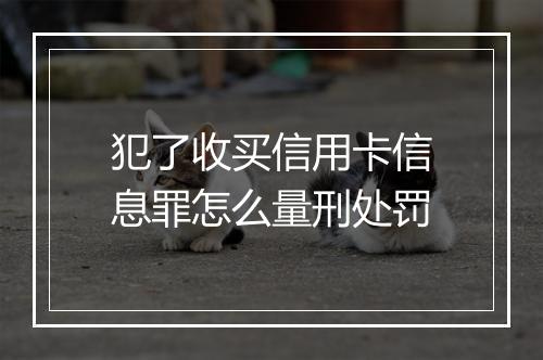 犯了收买信用卡信息罪怎么量刑处罚