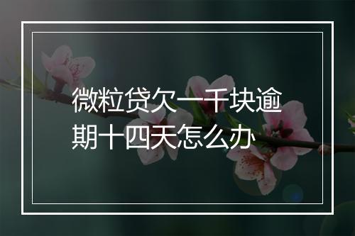 微粒贷欠一千块逾期十四天怎么办