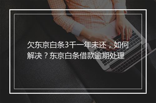 欠东京白条3千一年未还，如何解决？东京白条借款逾期处理