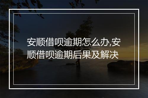 安顺借呗逾期怎么办,安顺借呗逾期后果及解决