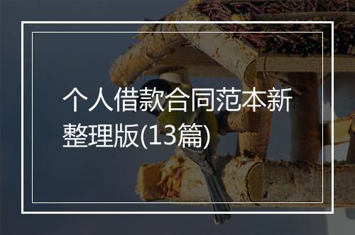 个人借款合同范本新整理版(13篇)