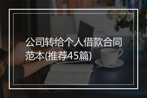 公司转给个人借款合同范本(推荐45篇)