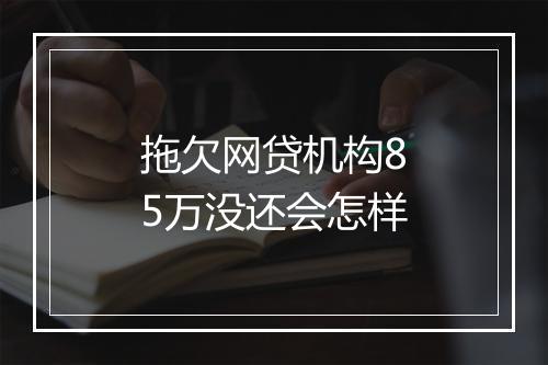 拖欠网贷机构85万没还会怎样