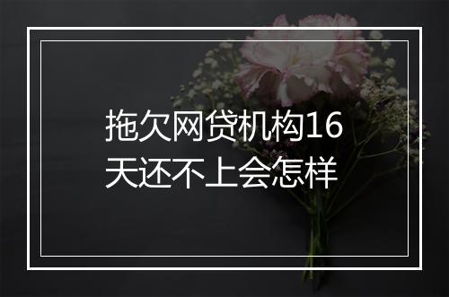 拖欠网贷机构16天还不上会怎样