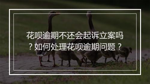 花呗逾期不还会起诉立案吗？如何处理花呗逾期问题？