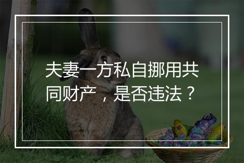 夫妻一方私自挪用共同财产，是否违法？