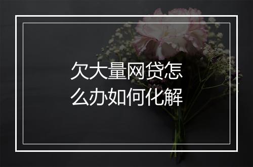 欠大量网贷怎么办如何化解