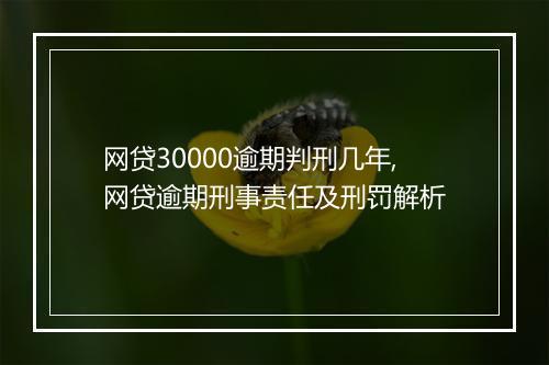 网贷30000逾期判刑几年,网贷逾期刑事责任及刑罚解析