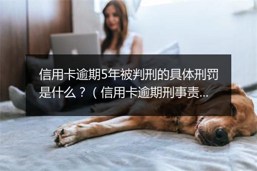 信用卡逾期5年被判刑的具体刑罚是什么？（信用卡逾期刑事责任解析）