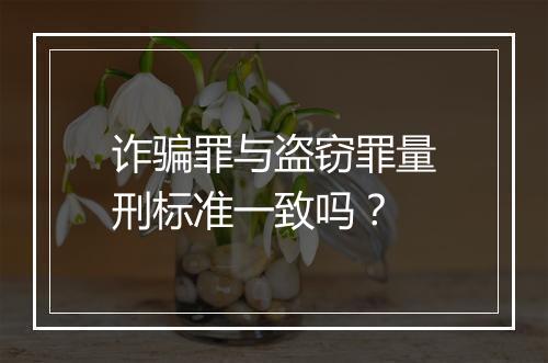 诈骗罪与盗窃罪量刑标准一致吗？