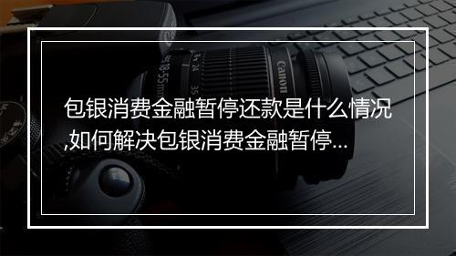 包银消费金融暂停还款是什么情况,如何解决包银消费金融暂停还款问题