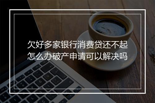 欠好多家银行消费贷还不起怎么办破产申请可以解决吗