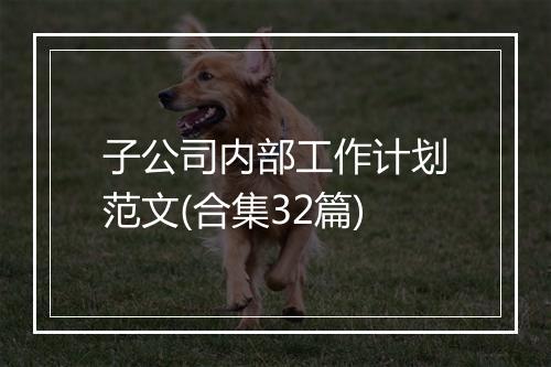 子公司内部工作计划范文(合集32篇)