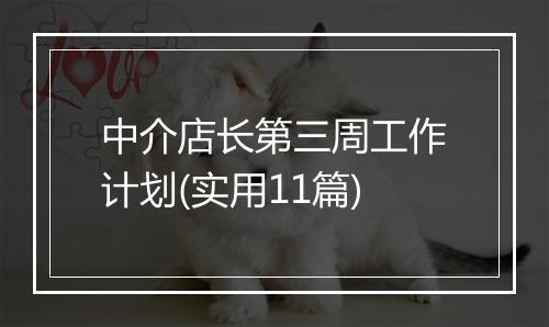 中介店长第三周工作计划(实用11篇)