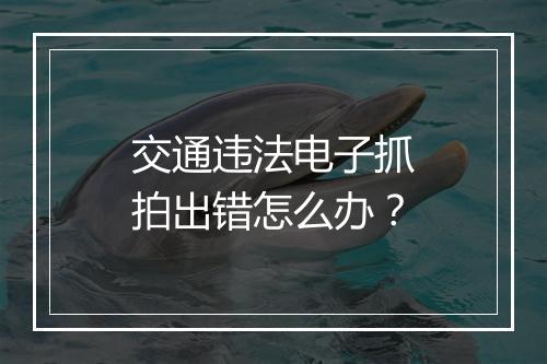 交通违法电子抓拍出错怎么办？