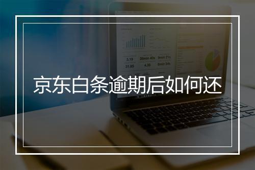 京东白条逾期后如何还