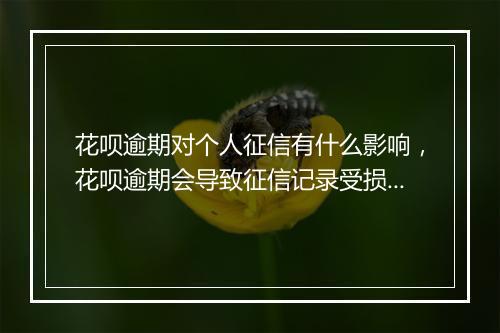 花呗逾期对个人征信有什么影响，花呗逾期会导致征信记录受损吗