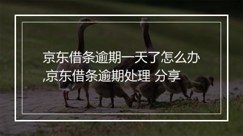 京东借条逾期一天了怎么办,京东借条逾期处理 分享