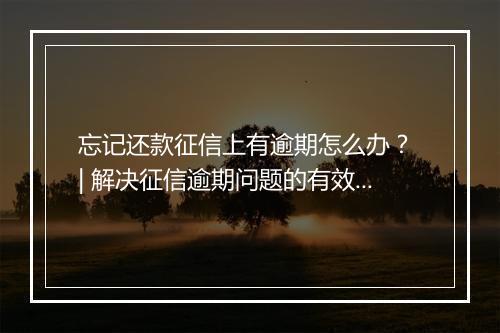 忘记还款征信上有逾期怎么办？ | 解决征信逾期问题的有效方法