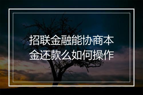 招联金融能协商本金还款么如何操作