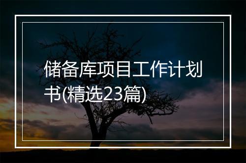 储备库项目工作计划书(精选23篇)