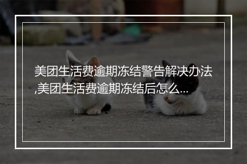 美团生活费逾期冻结警告解决办法,美团生活费逾期冻结后怎么办