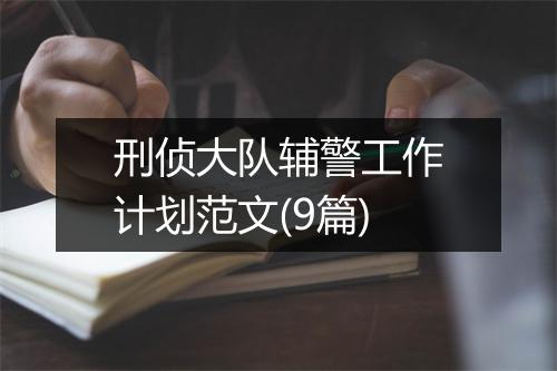 刑侦大队辅警工作计划范文(9篇)