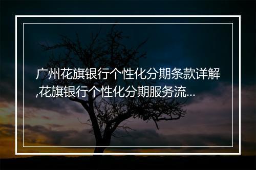 广州花旗银行个性化分期条款详解,花旗银行个性化分期服务流程