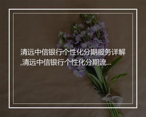 清远中信银行个性化分期服务详解,清远中信银行个性化分期流程图