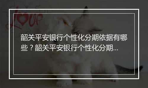 韶关平安银行个性化分期依据有哪些？韶关平安银行个性化分期条件详解