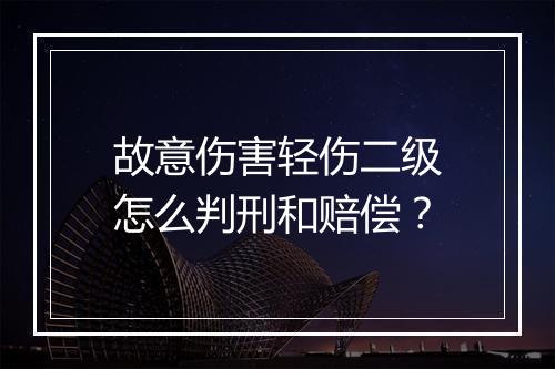 故意伤害轻伤二级怎么判刑和赔偿？