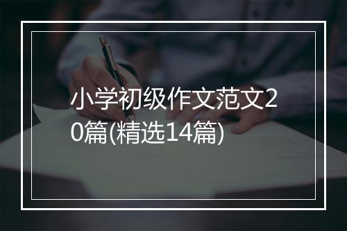 小学初级作文范文20篇(精选14篇)