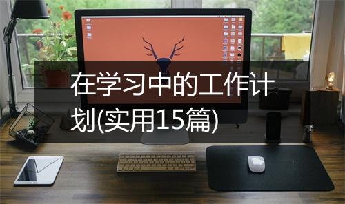 在学习中的工作计划(实用15篇)