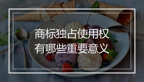 商标独占使用权有哪些重要意义