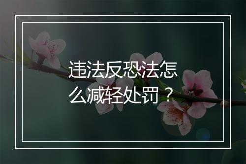 违法反恐法怎么减轻处罚？