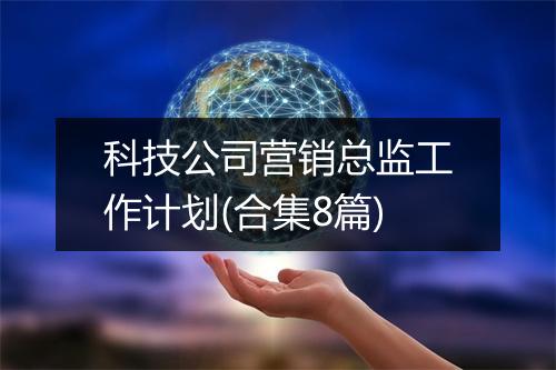 科技公司营销总监工作计划(合集8篇)