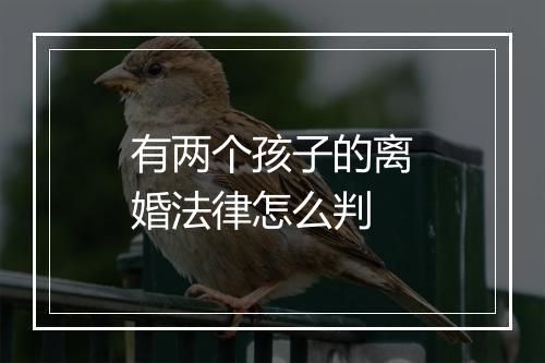有两个孩子的离婚法律怎么判