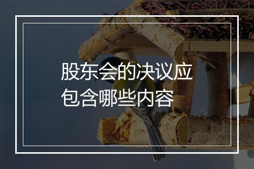 股东会的决议应包含哪些内容