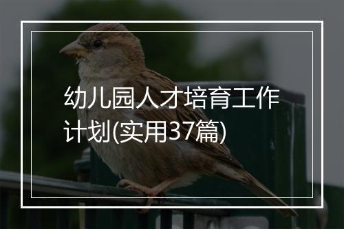 幼儿园人才培育工作计划(实用37篇)