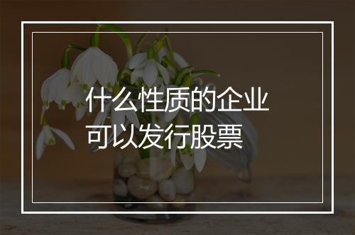 什么性质的企业可以发行股票