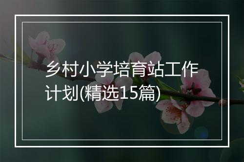乡村小学培育站工作计划(精选15篇)