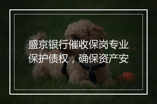 盛京银行催收保岗专业保护债权，确保资产安