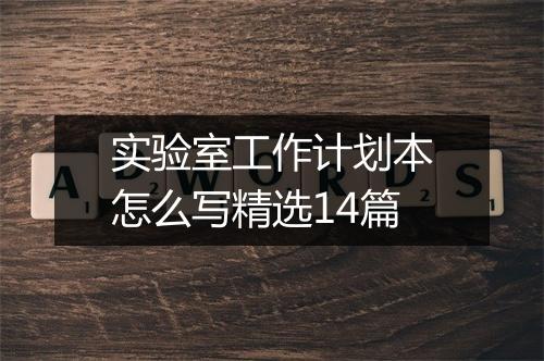 实验室工作计划本怎么写精选14篇