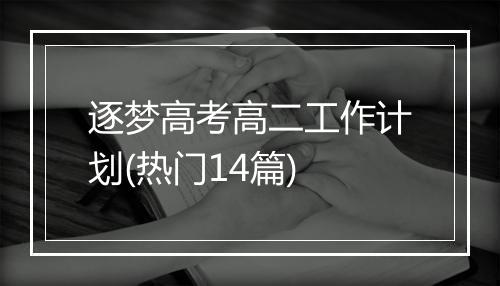 逐梦高考高二工作计划(热门14篇)