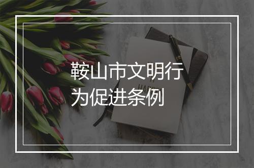 鞍山市文明行为促进条例